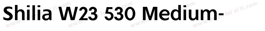 Shilia W23 530 Medium字体转换